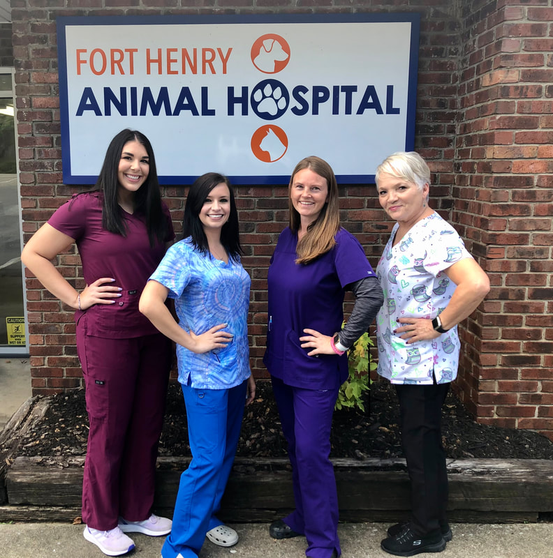 About - Fort Henry Animal Hospital